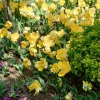 رنگ و لایت و کوتاهی حرفه ای