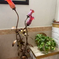 آباژور پایه برنزی