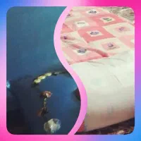 تشک و متکا و بالش