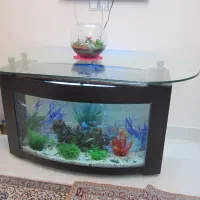 میز ناهار خوری با پایه آکواریوم|میز و صندلی غذاخوری|اصفهان, باغ کاران|دیوار