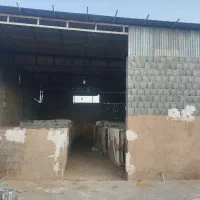 فروش دامداری ۱۰۰۰متری در قطب اباد|فروش دفتر صنعتی، کشاورزی، تجاری|کردیان, |دیوار