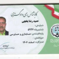 کارشناس رسمی دادگستری در رشته حسابداری وحسابرسی