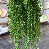 درختچه|گل مصنوعی|سنندج, |دیوار