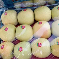 سیب درختی خراسان|خوردنی و آشامیدنی|تهران, گرگان|دیوار