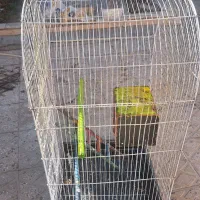 سلام قفس پرندگان قیمت ۸۰۰تومان