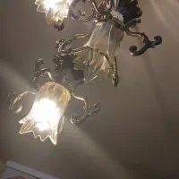 یک عدد لوستر