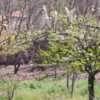 فروش باغ ویلا در هرانده فیروز کوه|فروش خانه و ویلا|فیروزکوه, |دیوار