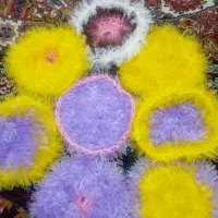 ظرف شور  اسکاج