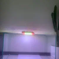 اکواریوم ریملس سوپر کیلیر|ماهی|تهران, تهرانپارس جنوبی|دیوار