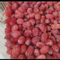 زرشک تازه دانه شده با دست بدون دم و برگ کیلو ۲۲۰|خوردنی و آشامیدنی|تهران, ترمینال جنوب|دیوار