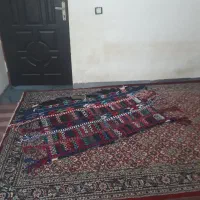 یک عدد جل و کوهان و ورسینه اسب به فروش می رسد|اسب و تجهیزات اسب‌سواری|آبدانان, |دیوار