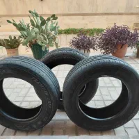 لاستیک‌بارز'۲۰۵‌