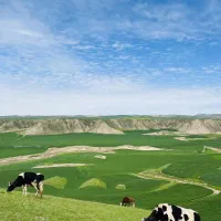 فروش فوری زمین کاربری دار