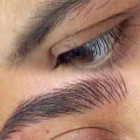 مدل رایگان ابرو میکرو بلیدینگ واسه فردا|خدمات آرایشگری و زیبایی|شیراز, عفیف‌آباد|دیوار
