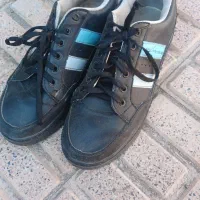 کفش|کیف، کفش، کمربند|مرند, |دیوار