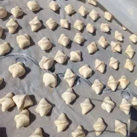 قوروت یا همون کشک گوسفندی