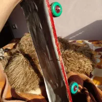 یک عدد اسکیت سالم بدون هیچ مشکل و ایراد|دوچرخه، اسکیت، اسکوتر|بندر انزلی, جزیره|دیوار