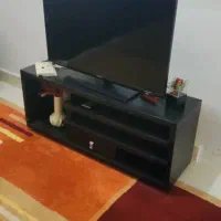 تلوزیون