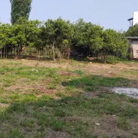 فروش زمین 147متری قراخیل