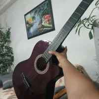 گیتار حرفه ای