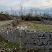 ۲۹۷ متر زمین مسکونی با سند ششدانگ در زیباکنار