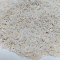 برنج هاشمی