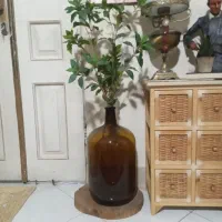 تعدادی گلدون شیک فروش بعلت مهاجرت