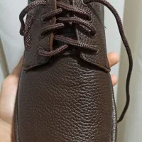 کفش چرم|کیف، کفش، کمربند|خورموج, |دیوار