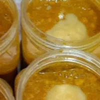 معجون ژل رویال ا+ گرده گل+عسل (اکسیر جوانی)