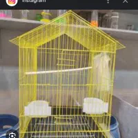 قفس عروس هلندی