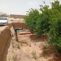 باغ-دو-کله-شریف-آباد