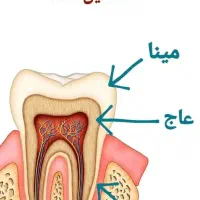 نیازمند دستیار و منشی خانوم