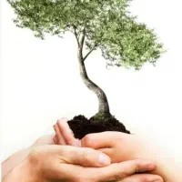 زمین-200-متری-در-بهترین-کوچه-شهرک-شورا-گویم