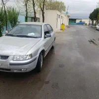 سمند خونگی تمیز