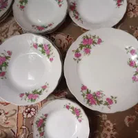 بشقاب گل سرخی