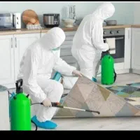 سمپاشی انواع حشرات موذی