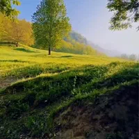4400 متر زمین/اشتهارد/سند تک برگ
