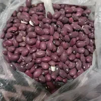 لوبیا قرمز ازنا در کوهدشت