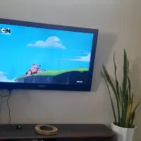 تلوزیون ۴۲ اینج اسنوا
