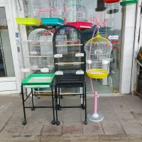 قفس و دان پرندگان زینتی