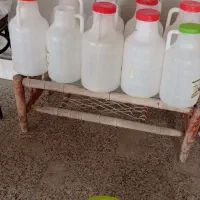 فروش ظروف پلاستیکی برای ماست یا ترشی|ظروف نگهدارنده، پلاستیکی، یکبارمصرف|شاهینشهر, گزبرخوار|دیوار