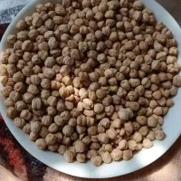 نخود درجه1