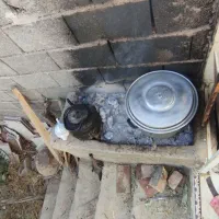 خونه-باغ-کوشک