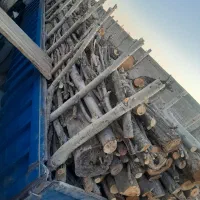 خریدار انواع چوب هیزمی زغالی ریشه درخت