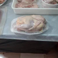 نیمچه خروس|خوردنی و آشامیدنی|رامشیر, |دیوار