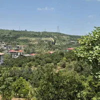 باغچه 400 متری ویودار محصور در مرزیکلا