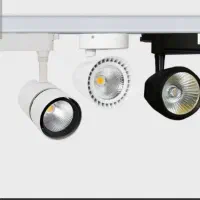 هالوژن ریلی