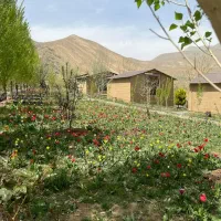 500متر-زمین