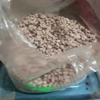 لوبیا چیتی