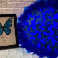 دسته گل پروانه/ولنتاین